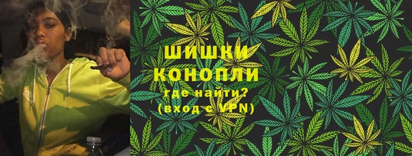 молекула духа Елабуга