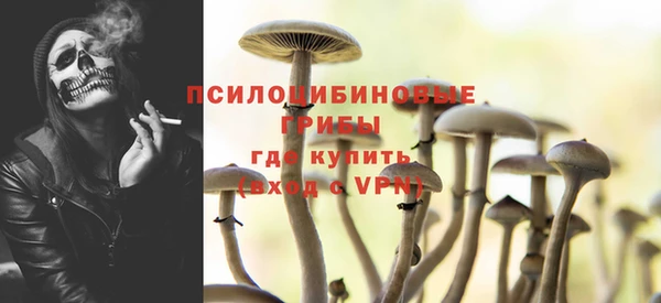 индика Покровск