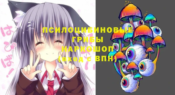 индика Покровск