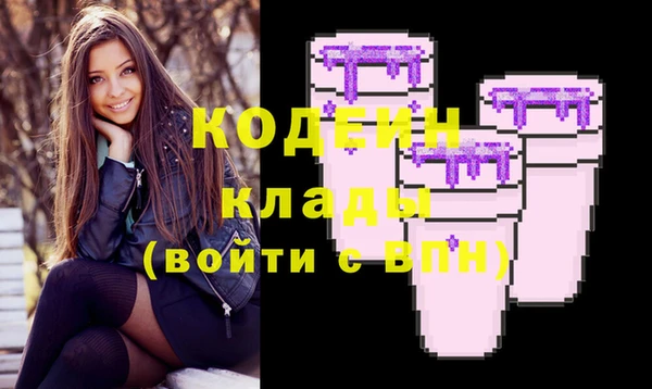индика Покровск